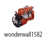 wonderwall1582
